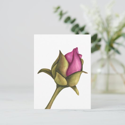 牡丹 ポストカード (スタンド正面)