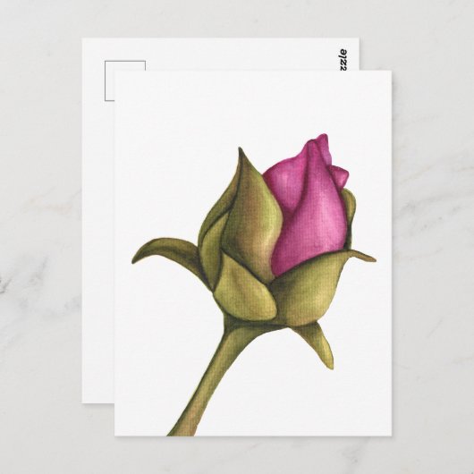 牡丹 ポストカード (正面/裏面)