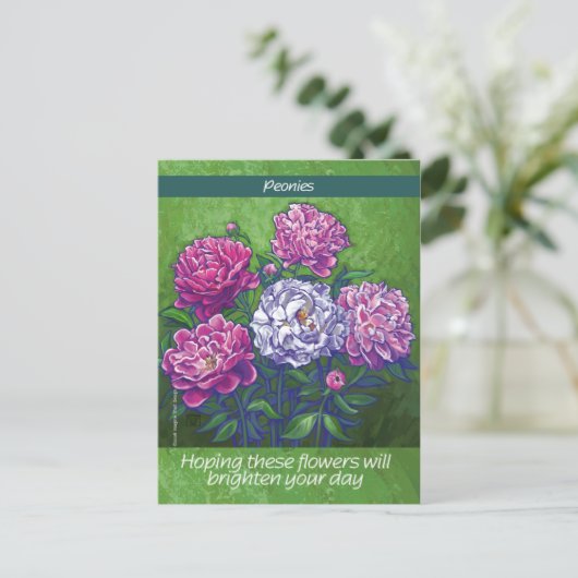 牡丹 ポストカード (スタンド正面)