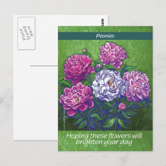 牡丹 ポストカード (正面/裏面)