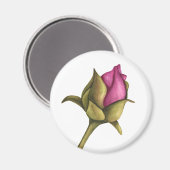 牡丹 マグネット (正面/裏面)