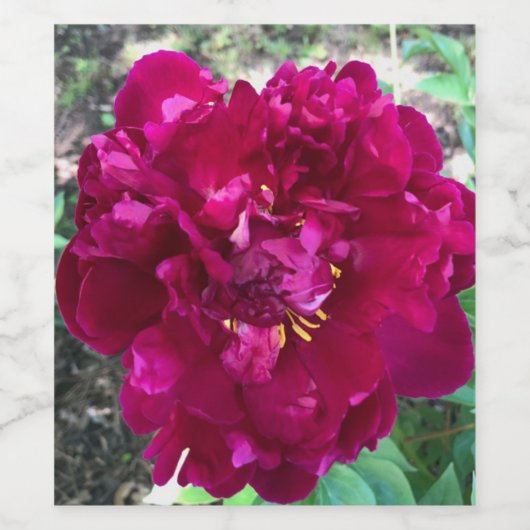 牡丹 ワインラベル (シングルラベル)