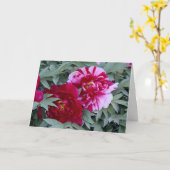 牡丹「四味錦」 カード (黄色い花)