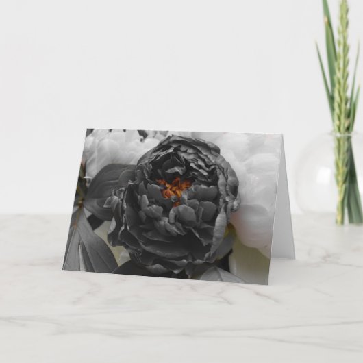 牡丹/孤立カラー カード (正面)