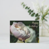 牡丹/花魔法/白い花/ハッピーバースデー/ シーズンポストカード (スタンド正面)