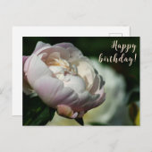 牡丹/花魔法/白い花/ハッピーバースデー/ シーズンポストカード (正面/裏面)