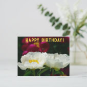 牡丹/花魔法/白い花/ハッピーバースデー/ シーズンポストカード (スタンド正面)