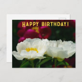 牡丹/花魔法/白い花/ハッピーバースデー/ シーズンポストカード (正面/裏面)