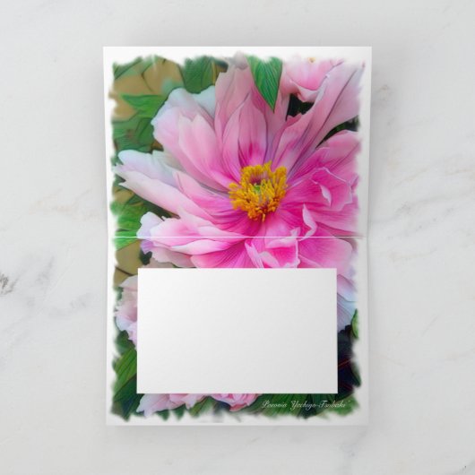 牡丹 [花] カード (内部)