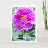 牡丹 [花] カード (正面)