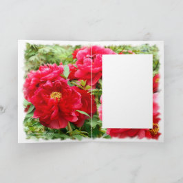 牡丹 [花] カード