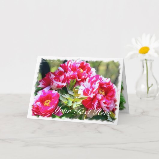 牡丹 [花] カード (小さな植物)
