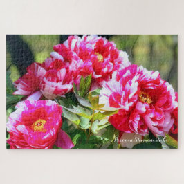 牡丹 [花] ジグソーパズル