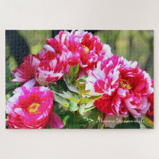 牡丹 [花] ジグソーパズル (横)