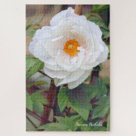 牡丹 [花] ジグソーパズル