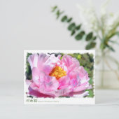 牡丹 [花] ポストカード (スタンド正面)