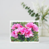 牡丹 [花] ポストカード (スタンド正面)