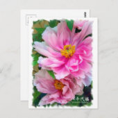 牡丹 [花] ポストカード (正面/裏面)