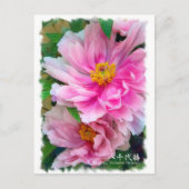 牡丹 [花] ポストカード (正面)