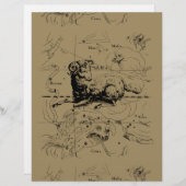 牡羊座の地図ヘベリウス1690 (正面/裏面)