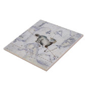 牡羊座の星座は、「地図書Coelesからの4つをめっきします タイル (側面)