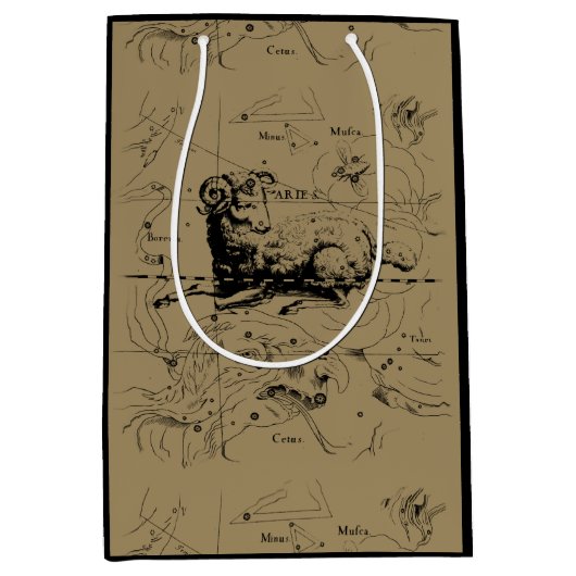 牡羊座コンステレーションマップ版木、銅版、版画バイヘベリアス ミディアムペーパーバッグ (正面)