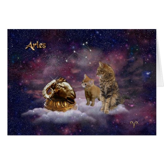 牡羊座猫好き (正面横)