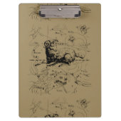 牡羊座1690年頃の地図ヘベリアス クリップボード (正面)