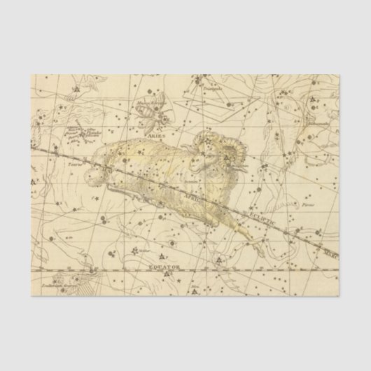 牡羊座、はえ座Borealis 薄葉紙 (正面)