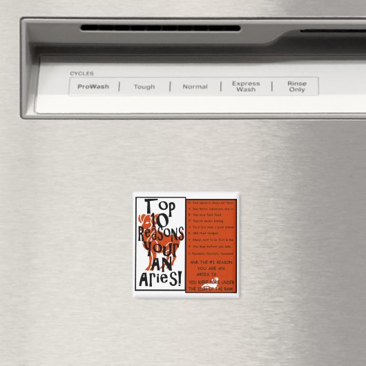 牡羊座 マグネット (インサイチュ (食洗機))