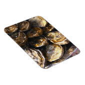 牡蠣のプレート。 マグネット (右側)