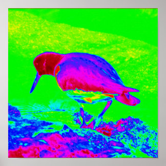 牡蠣キャッチャー ポスター