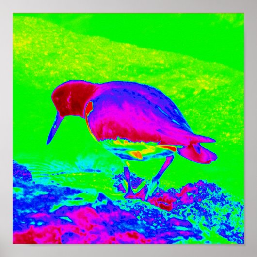 牡蠣キャッチャー ポスター (正面)