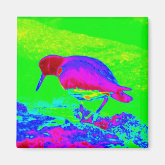 牡蠣キャッチャー マグネット