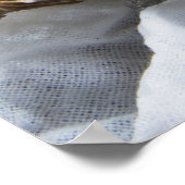 牡蠣（氷上） ポスター (角)