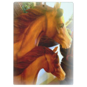 牡馬と馬 クリップボード (裏面)