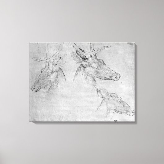 牡鹿の頭二頭、雌鹿の頭一頭 キャンバスプリント (正面)