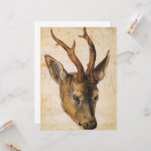 牡鹿（野生動物）の頭（Albrecht Durer著） カード (正面/裏面インサイチュ)