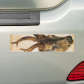 牡鹿(野生動物)の頭(Albrecht Durer著) バンパーステッカー (車上)