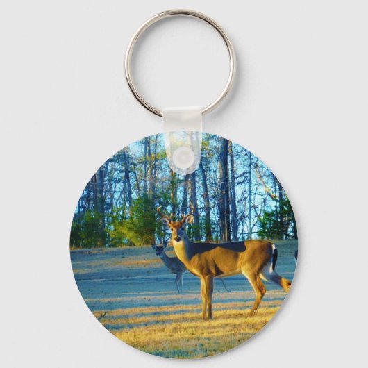 牡鹿/鹿鹿ブライトブルースカイ キーホルダー (正面)