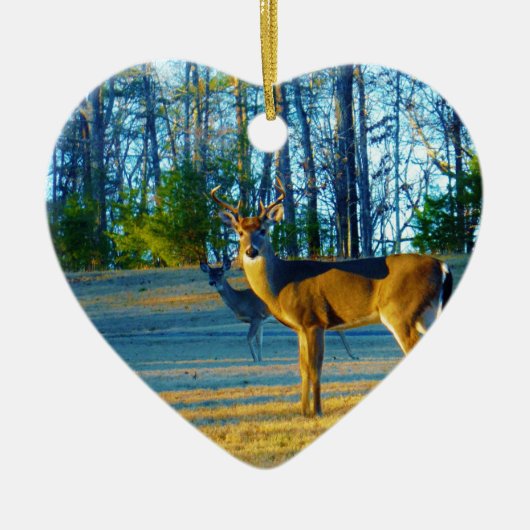 牡鹿/鹿鹿ブライトブルースカイ セラミックオーナメント (正面)