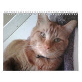 牢獄との年 カレンダー (カバー)