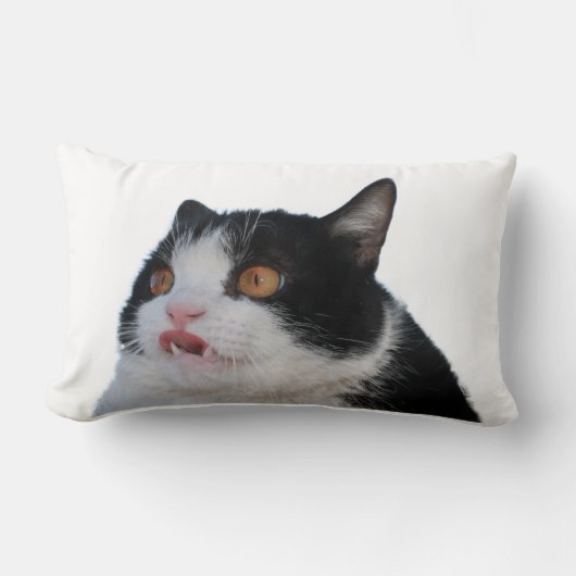 牢獄の枕 ランバークッション (正面)