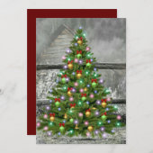 牧場でのクリスマス シーズンカード (正面/裏面)