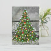 牧場でのクリスマス シーズンカード (スタンド正面)