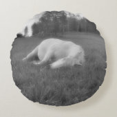 牧場で休む白馬 ラウンドクッション (正面)