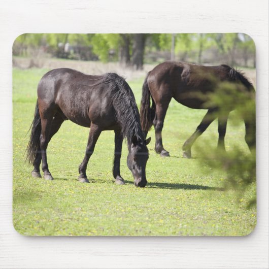 牧場で放牧する馬 マウスパッド (正面)
