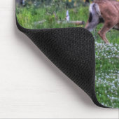 牧場で雄の鹿バック野生動物写真 マウスパッド (コーナー)