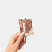 牧場で鼻を寄せ合う馬 バッジ (手持ち)