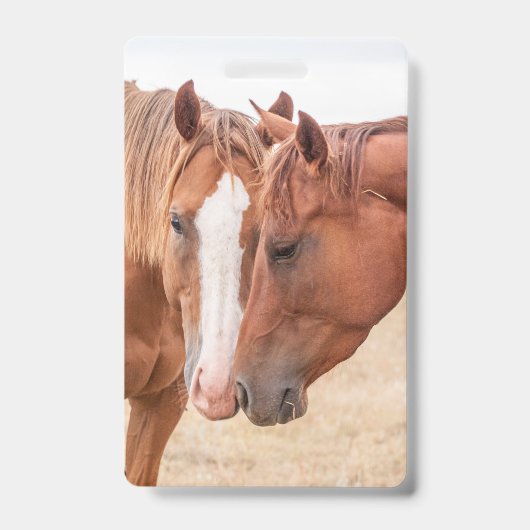牧場で鼻を寄せ合う馬 バッジ (正面)